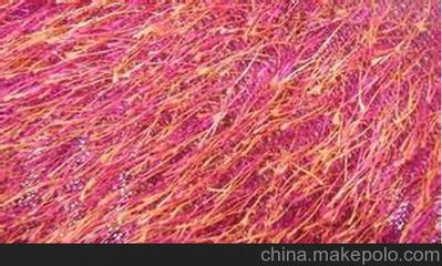 南京松針絨銷售與揚(yáng)州凱潤(rùn)達(dá)針紡織品 品質(zhì)與信賴的雙重保障